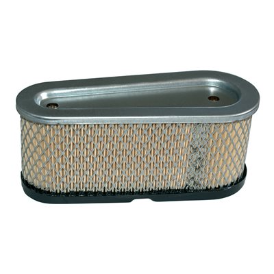 AIR FILTER TECUMSEH #36356