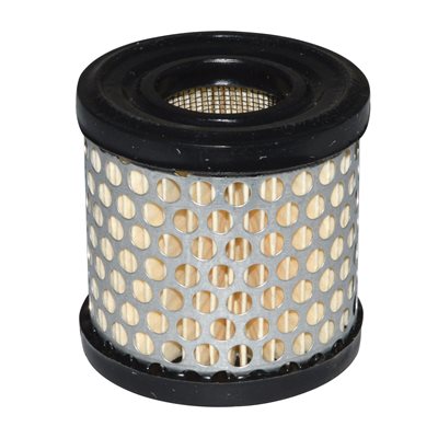 AIR FILTER B&S #396424S