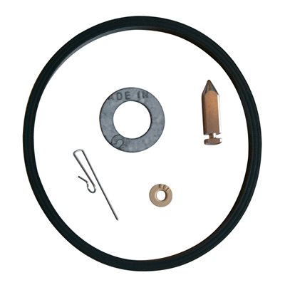 NEEDLE, SEAT AND GASKET TECUMSEH #631021