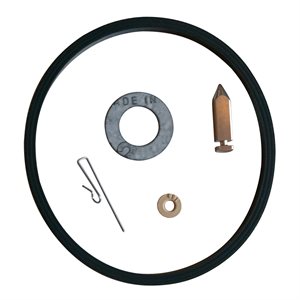NEEDLE, SEAT AND GASKET TECUMSEH #631021