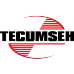 CABLE ASS. TECUMSEH #36909